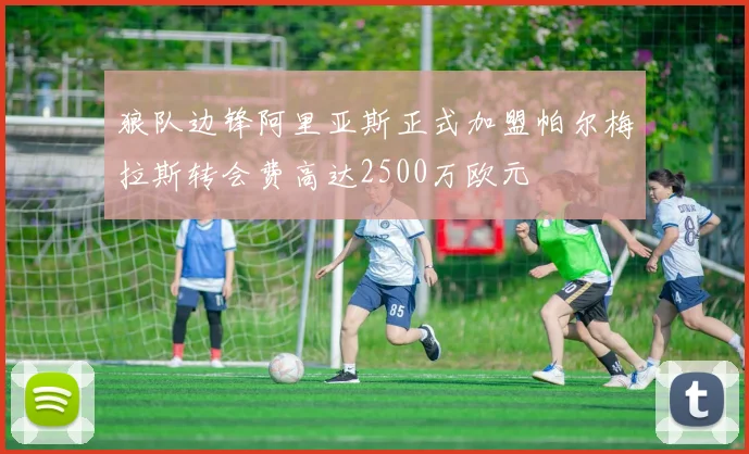 狼队边锋阿里亚斯正式加盟帕尔梅拉斯转会费高达2500万欧元