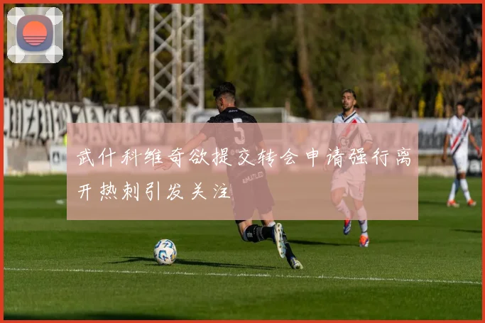 武什科维奇欲提交转会申请强行离开热刺引发关注